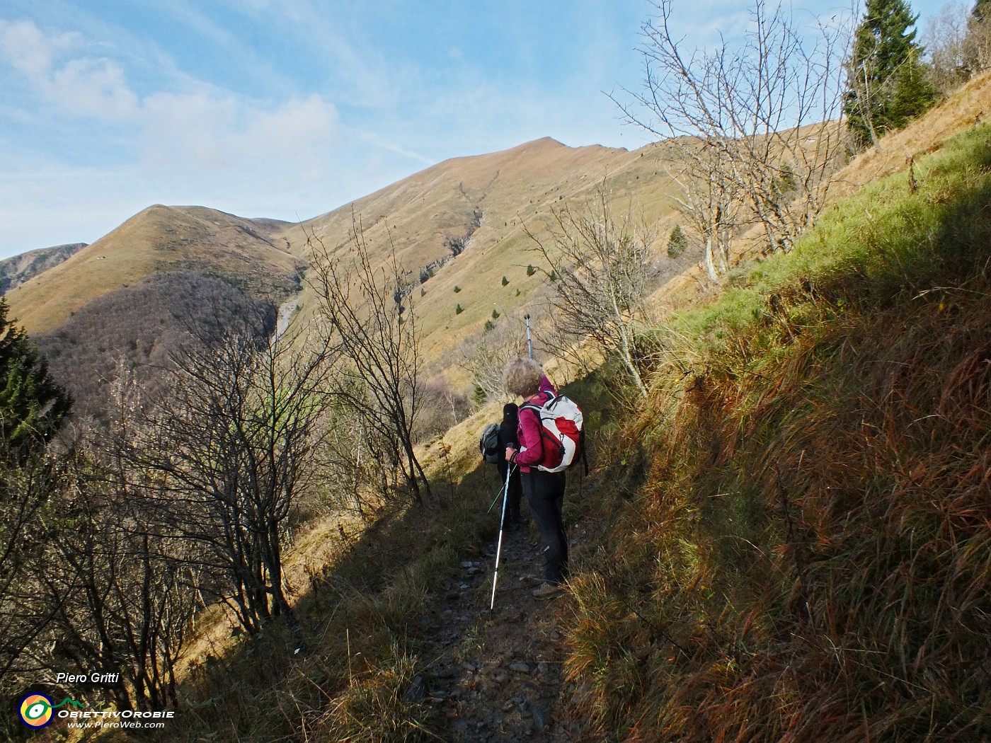 24 Vista verso la vetta del Pizzo Baciamorti.JPG